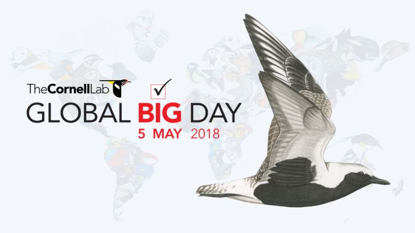 global-big-day-2018