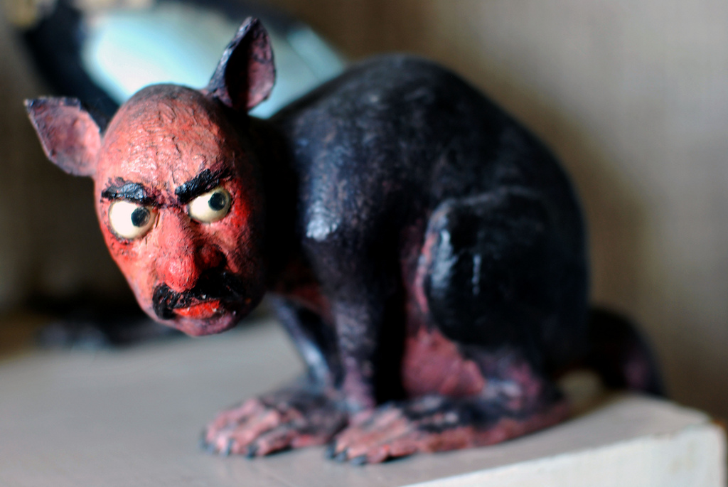 5549994981_c35b7aa0c4_b